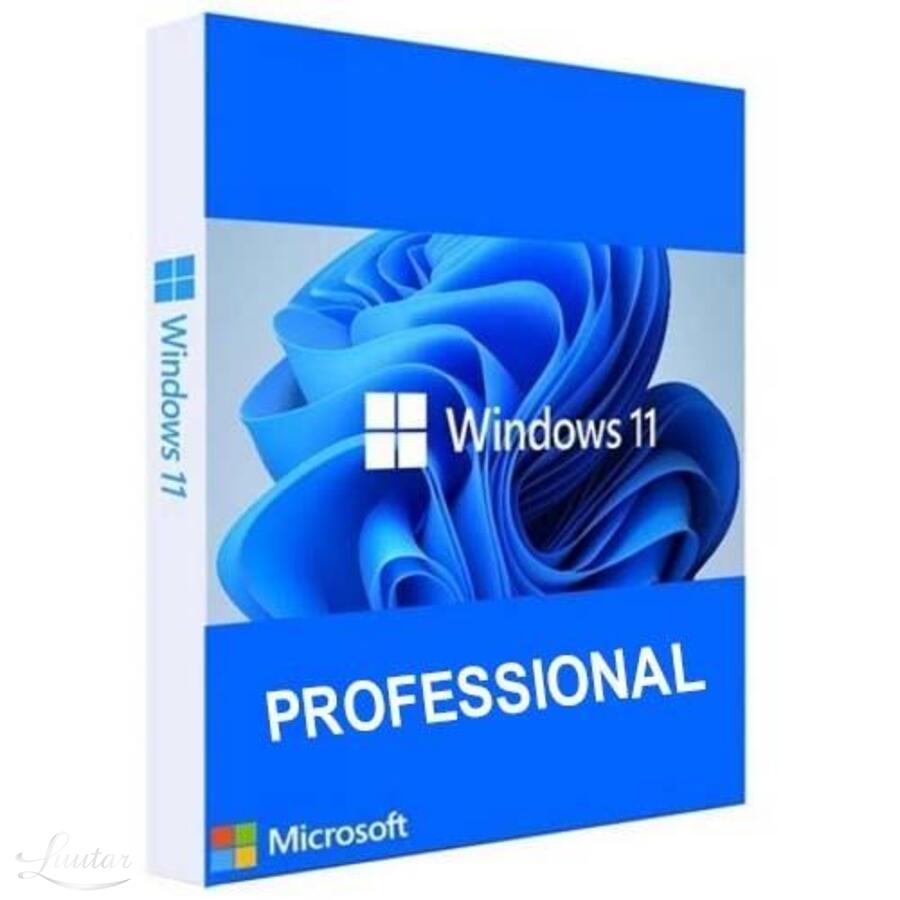 Tarkvara Microsoft Windows 11 Professional
