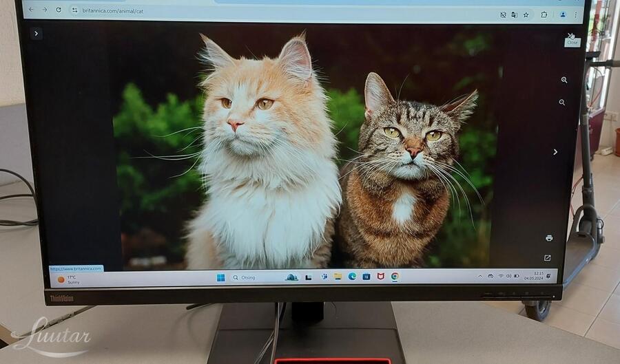 Monitor Lenovo Thinkvision P32p-20