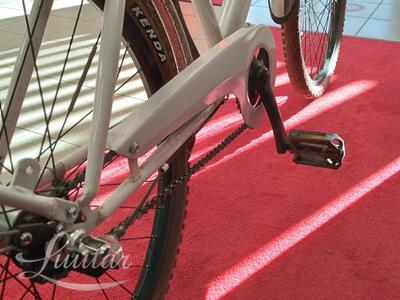 Jalgratas Classic Funk24 3S