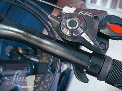 Jalgratas Jaguar Bike 26"