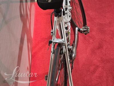 Jalgratas Specialized Allez Sport