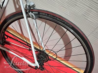 Jalgratas Specialized Allez Sport