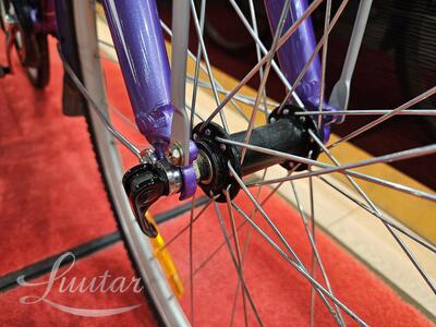 Jalgratas Classic Elegance 7 EQ