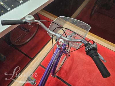 Jalgratas Classic Elegance 7 EQ