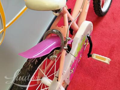 Jalgratas Dino Bike 