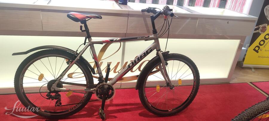Jalgratas Drag ZX2