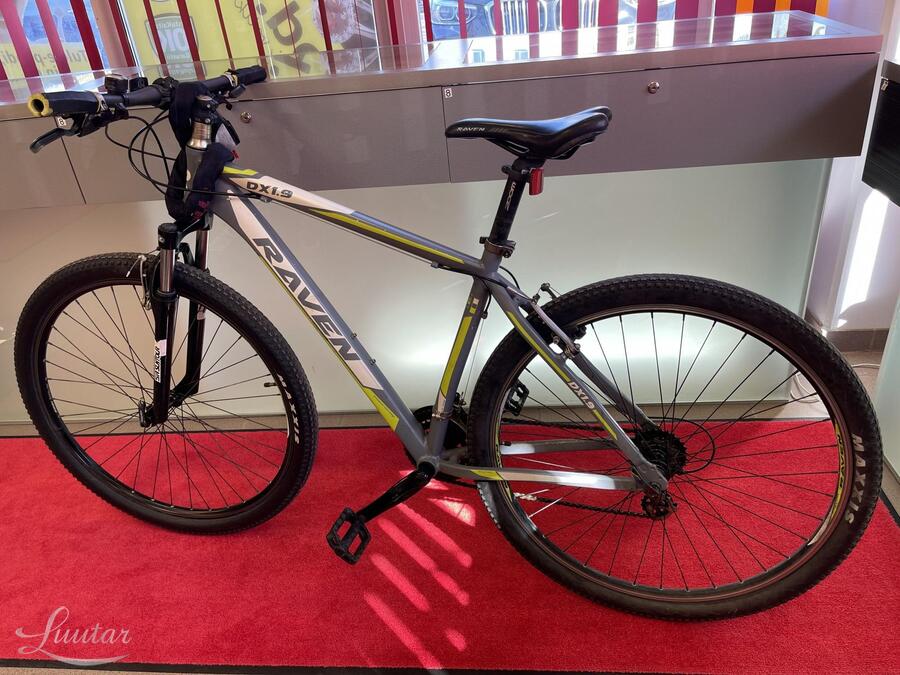 Jalgratas Raven DX1,9