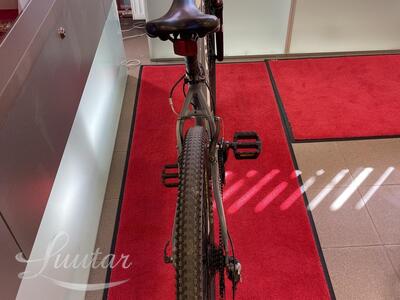 Jalgratas Raven DX1,9