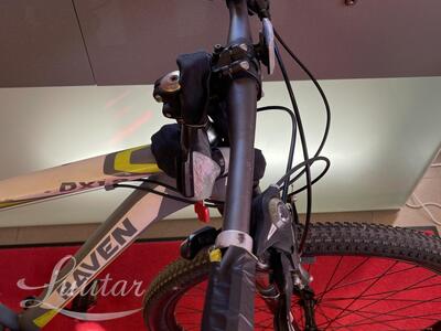 Jalgratas Raven DX1,9