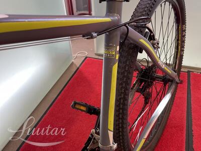 Jalgratas Raven DX1,9