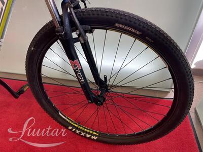 Jalgratas Raven DX1,9