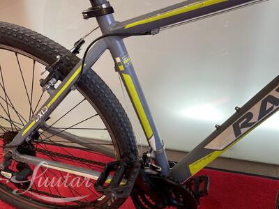 Jalgratas Raven DX1,9