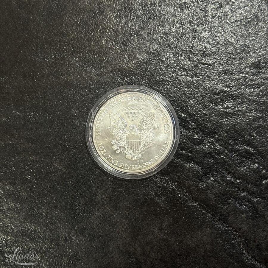 Hõbemünt USA 1 dollar 10oz. 2019a.