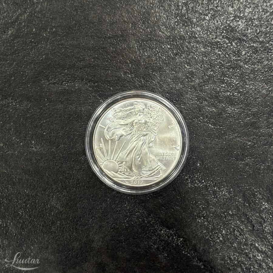 Hõbemünt USA 1 dollar 10oz. 2017a.