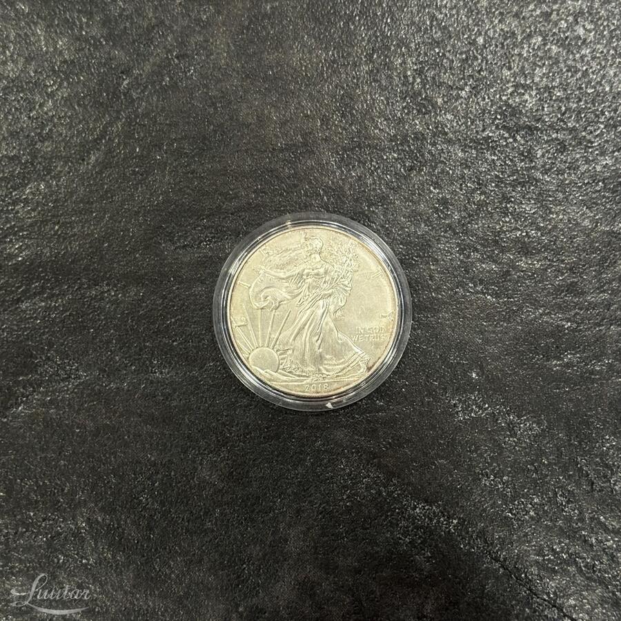 Hõbemünt USA 1 dollar 10oz. 2018a.