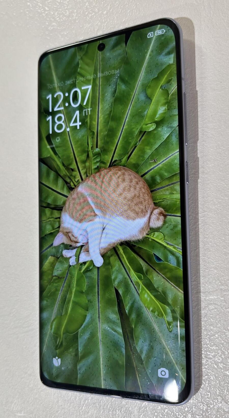 Mobiiltelefon Xiaomi 12 256GB
