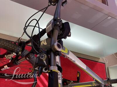 Jalgratas Raven DX1,9