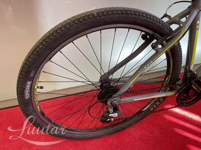Jalgratas Raven DX1,9