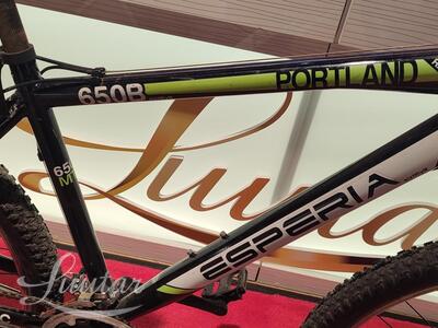 Jalgaratas Esperia Portland 650B EN - 14766