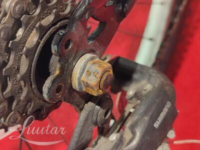 Jalgaratas Esperia Portland 650B EN - 14766