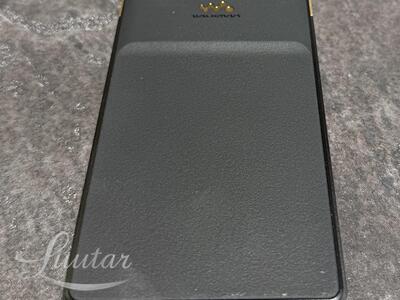 Audio player Sony NW-ZX707