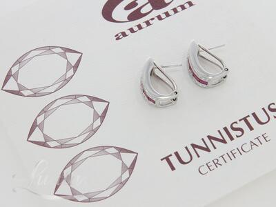 Kuldkõrvarõngad 585* Briljandid 0,48ct + Rubiinid