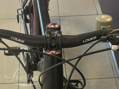 Jalgratas Louke 1 26"