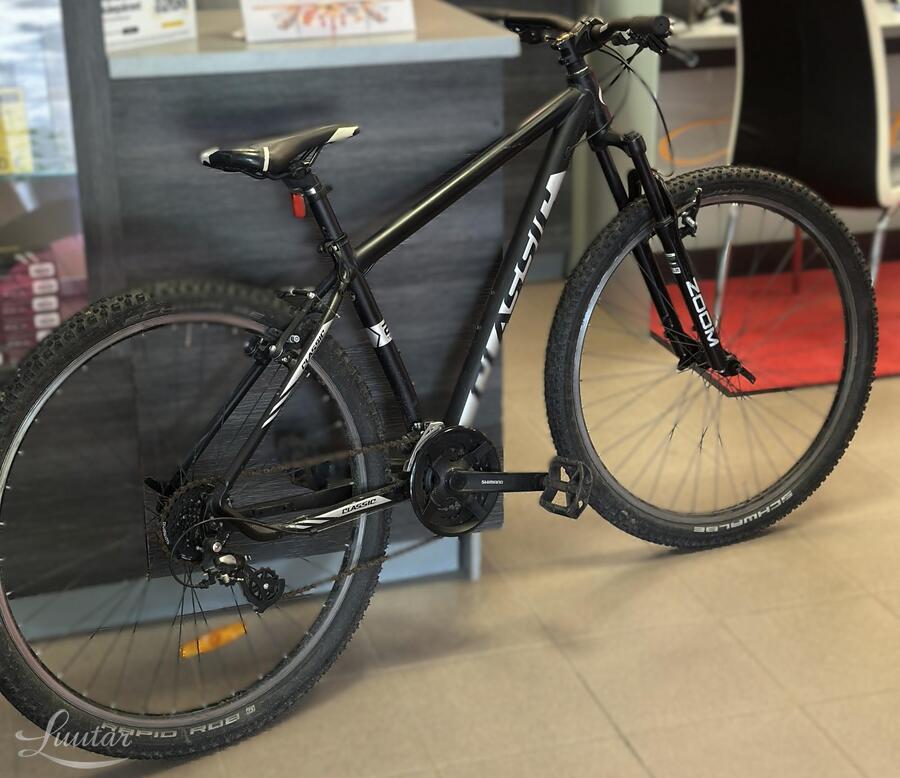 Jalgratas Classic Team 29