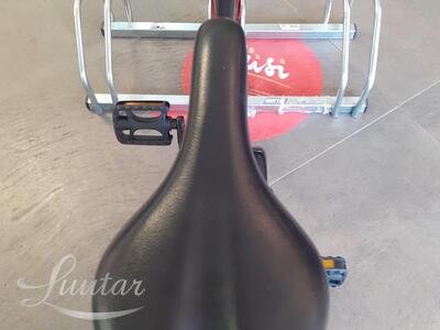 Jalgratas RALEIGH BMX Race