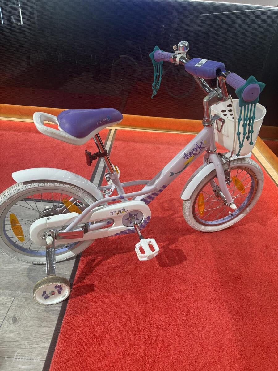 Jalgratas Trek Mystic