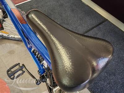 Jalgratas DHS Terrana  24″ 2441