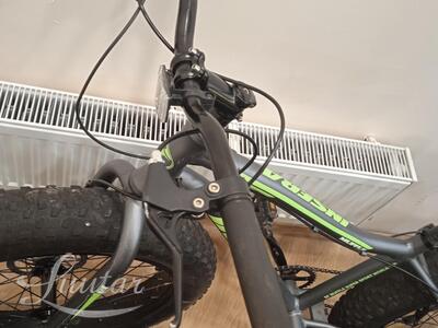 Jalgratas Insera Muffle 24" fat bike