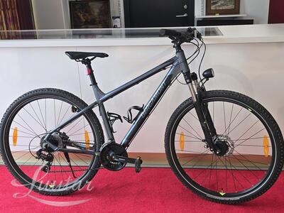 Jalgratas Bergamont Revox 3 29"