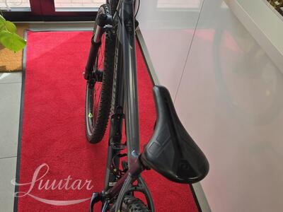 Jalgratas Bergamont Revox 3 29"