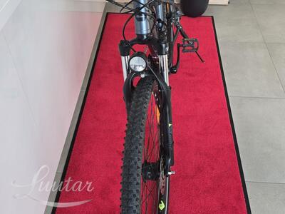 Jalgratas Bergamont Revox 3 29"
