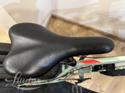 Jalgratas Tunturi Colorado 26"