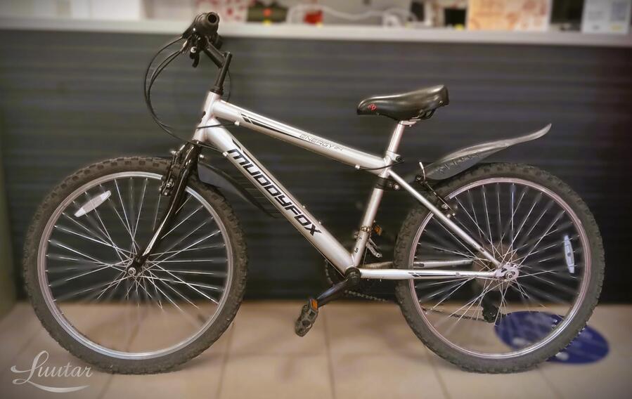 Jalgratas Muddyfox Energy 24"