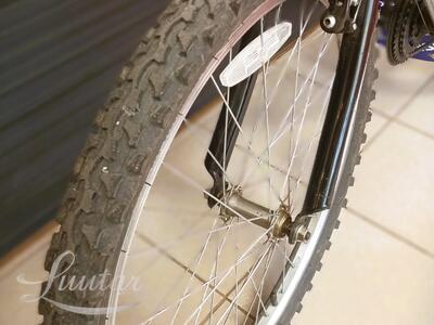 Jalgratas Muddyfox Energy 24"