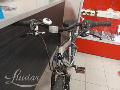 Jalgratas Muddyfox Energy 24"