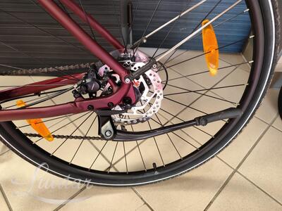 Jalgratas Merida Crossway 20 Lady