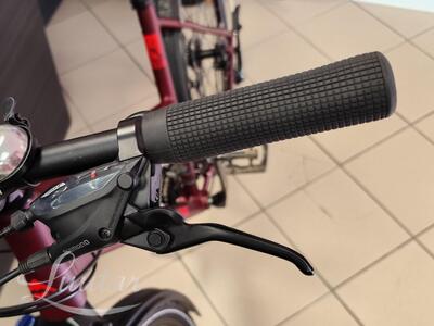 Jalgratas Merida Crossway 20 Lady