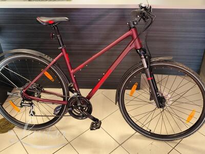 Jalgratas Merida Crossway 20 Lady