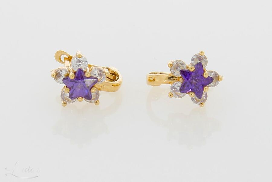 Kuldkõrvarõngad 585*