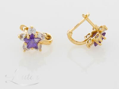 Kuldkõrvarõngad 585*