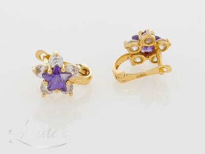 Kuldkõrvarõngad 585*