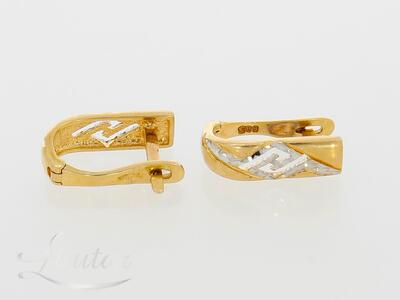 Kuldkõrvarõngad 585*