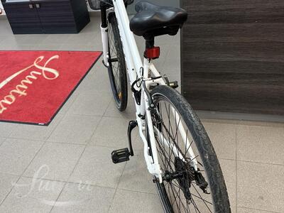 Jalgratas Classic Zoom 21