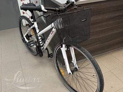 Jalgratas Classic Zoom 21