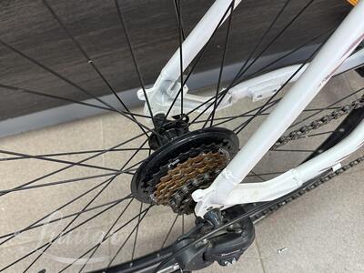 Jalgratas Classic Zoom 21