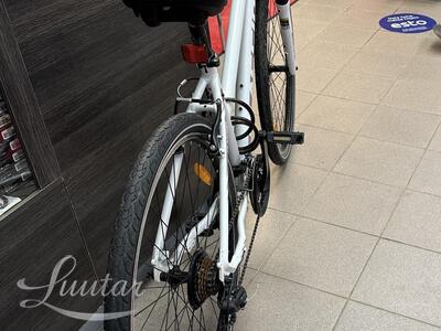 Jalgratas Classic Zoom 21